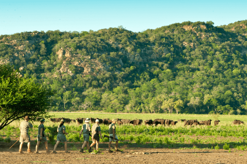 Walking safari during EcoTraining course